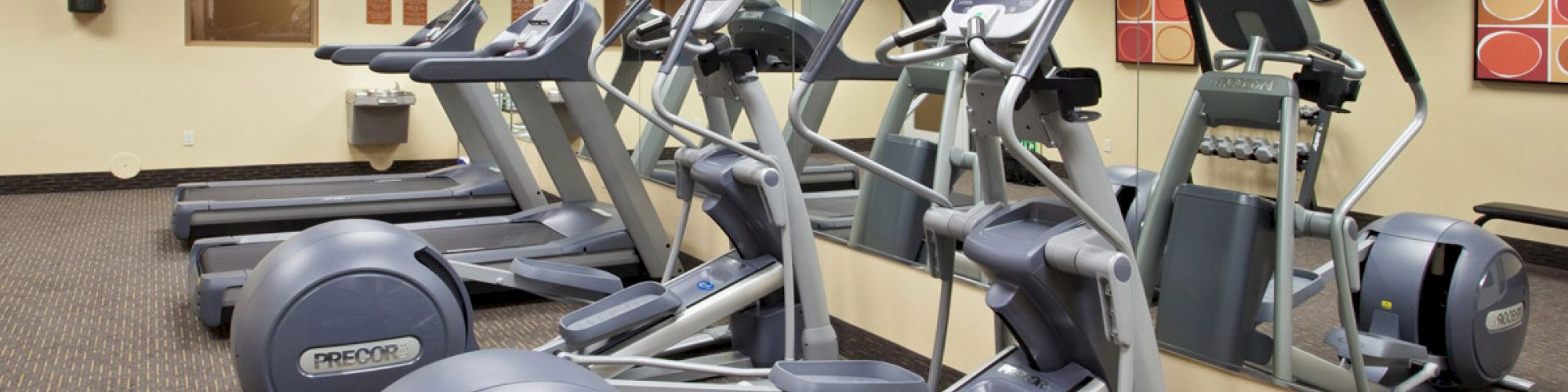 This image shows a gym with treadmills, elliptical machines, and a mirrored wall. The room has a carpeted floor and some wall decorations.